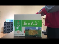 पीपी खोखले बोर्ड सब्जी बॉक्स