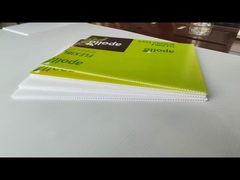 प्लास्टिक के खोखले बोर्ड