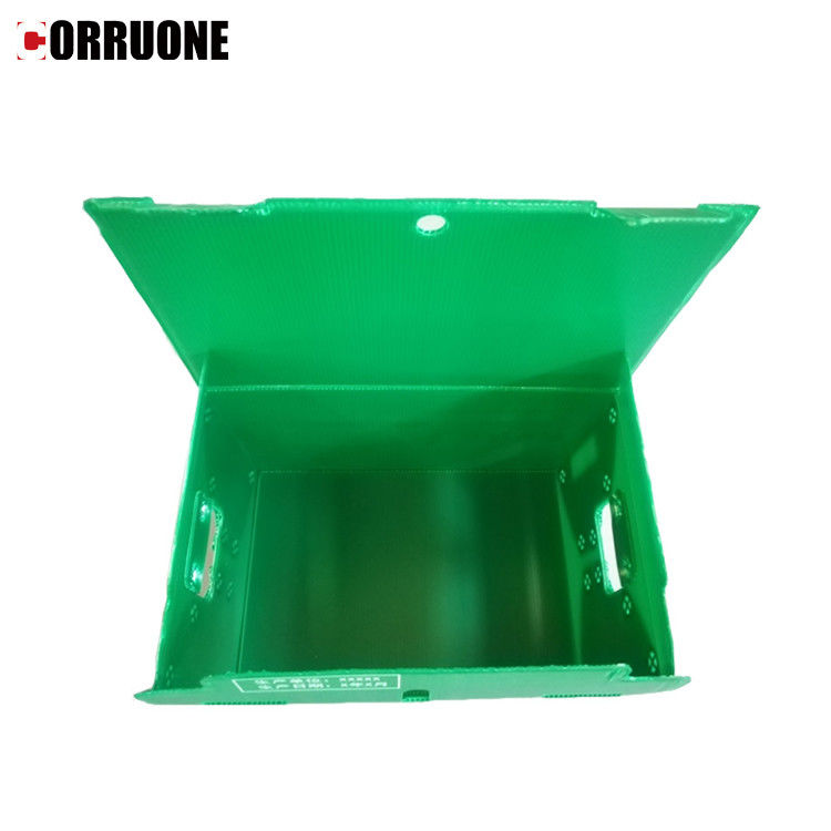 पनरोक Correx पीपी नालीदार बॉक्स 12mm मोटी Corflute भंडारण बक्से
