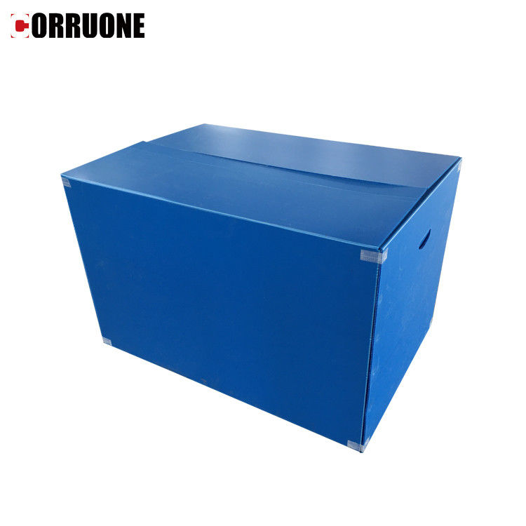 पनरोक Correx पीपी नालीदार बॉक्स 12mm मोटी Corflute भंडारण बक्से