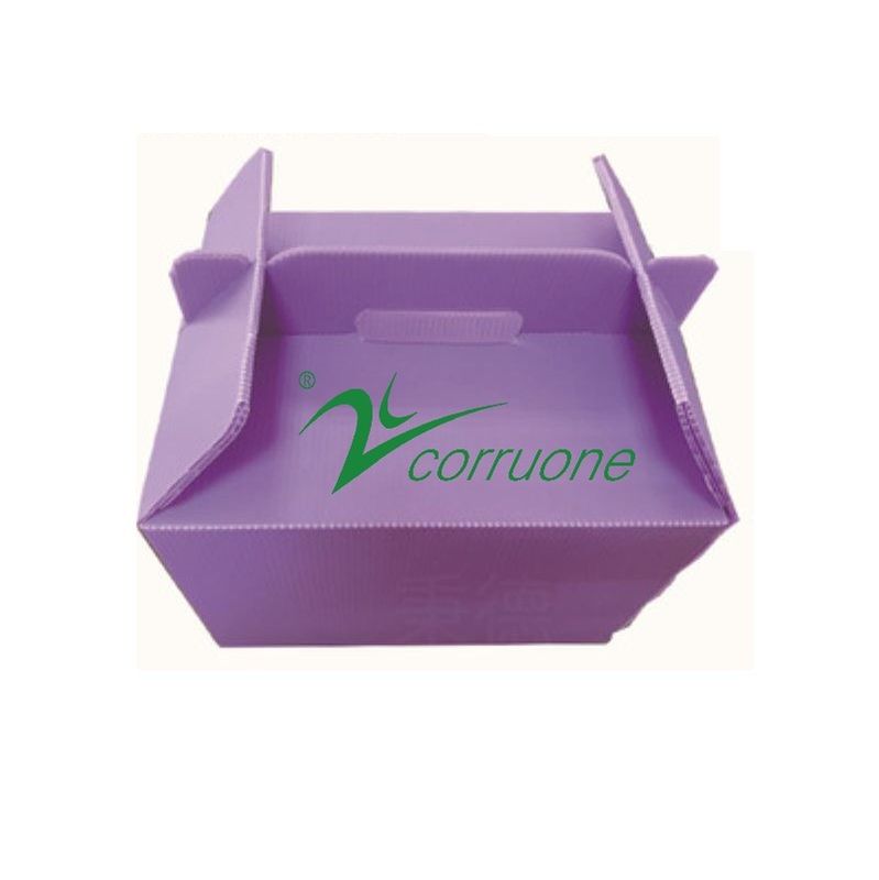 Corruone PP polypropylene correx फोल्डेबल बॉक्स ताजा सब्जियां और फल पीपी घुमावदार प्लास्टिक शीट बॉक्स