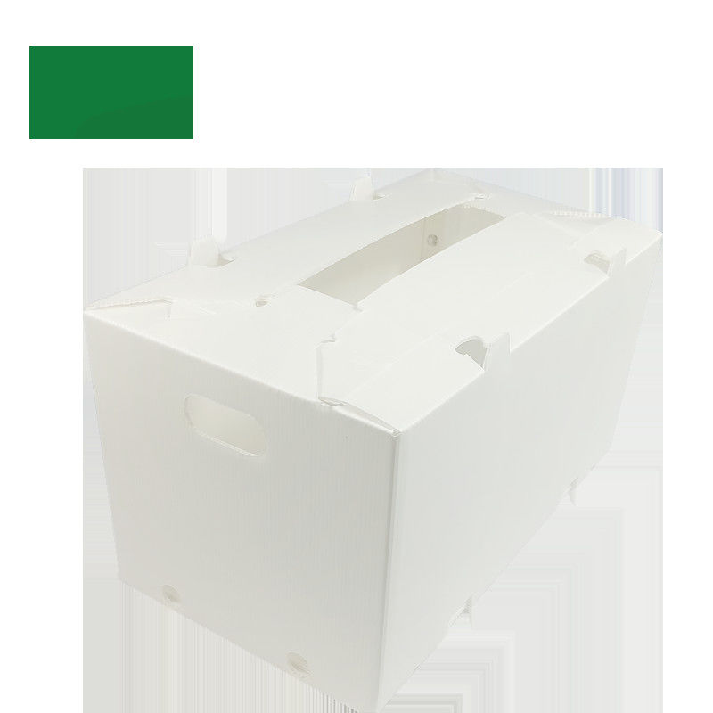 2mm-11mm खोखले कार्टन कोरोप्लास्ट Correx Collapsible Corrugated Plastic Boxes