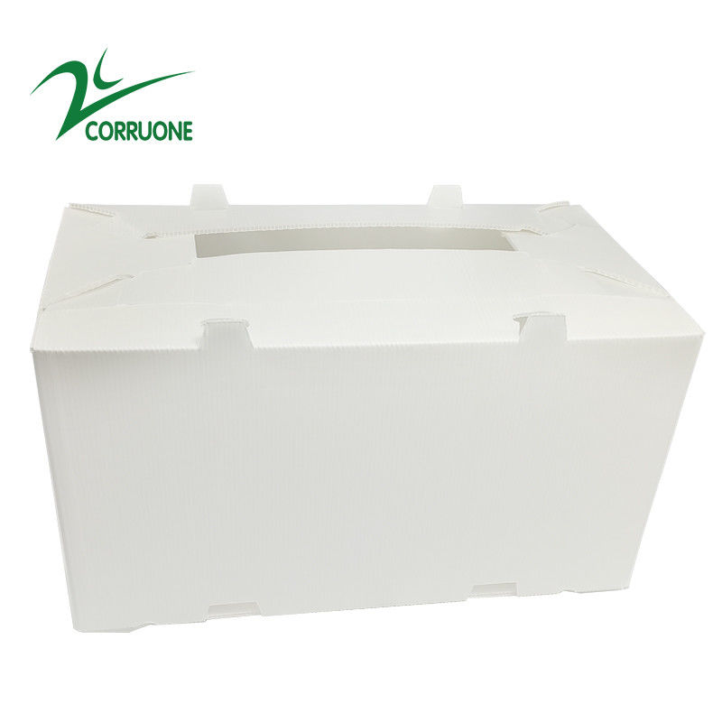 2mm-11mm खोखले कार्टन कोरोप्लास्ट Correx Collapsible Corrugated Plastic Boxes