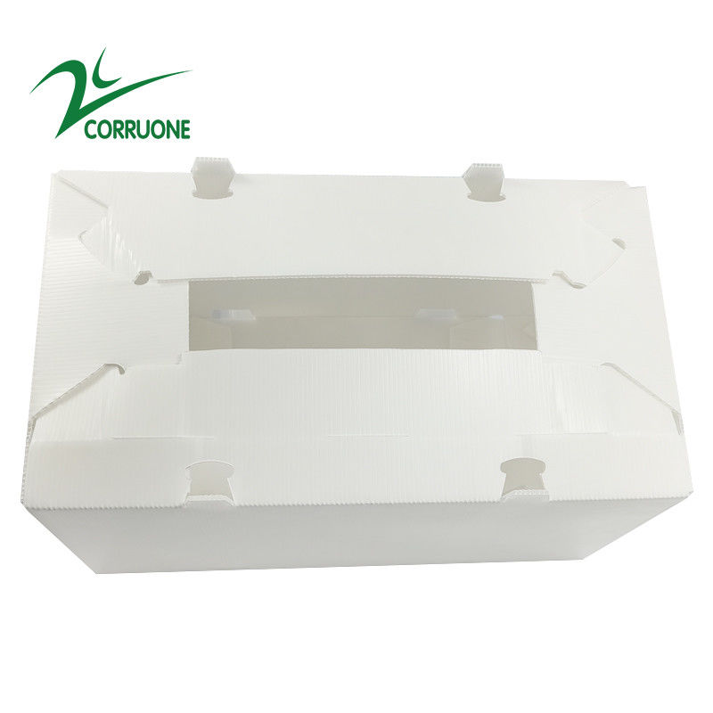 2mm-11mm खोखले कार्टन कोरोप्लास्ट Correx Collapsible Corrugated Plastic Boxes