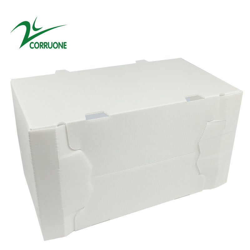 2mm-11mm खोखले कार्टन कोरोप्लास्ट Correx Collapsible Corrugated Plastic Boxes