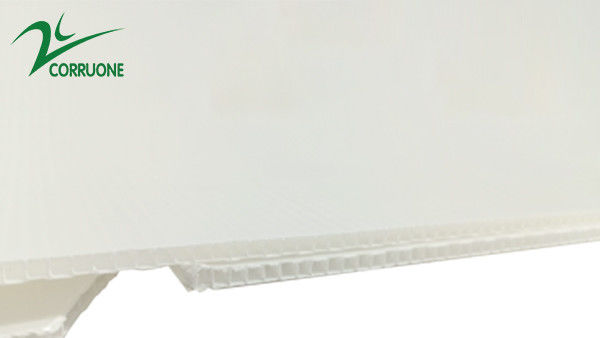 2mm-11mm खोखले कार्टन कोरोप्लास्ट Correx Collapsible Corrugated Plastic Boxes