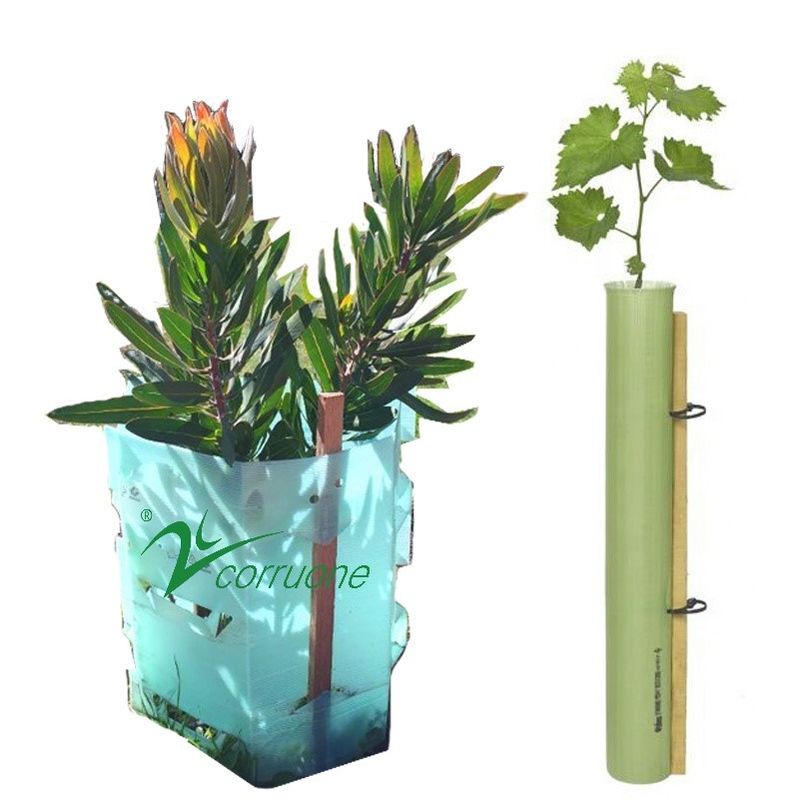 लाल 100% PE Corflute प्लास्टिक ट्री गार्ड UV रेज़िस्टेंट 2mm-12mm